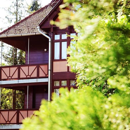 Ezuestfenyo Hotel Telkibánya Dış mekan fotoğraf