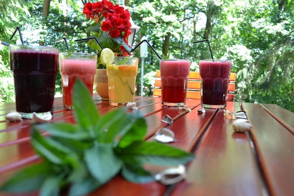 Ezuestfenyo Hotel Telkibánya Dış mekan fotoğraf