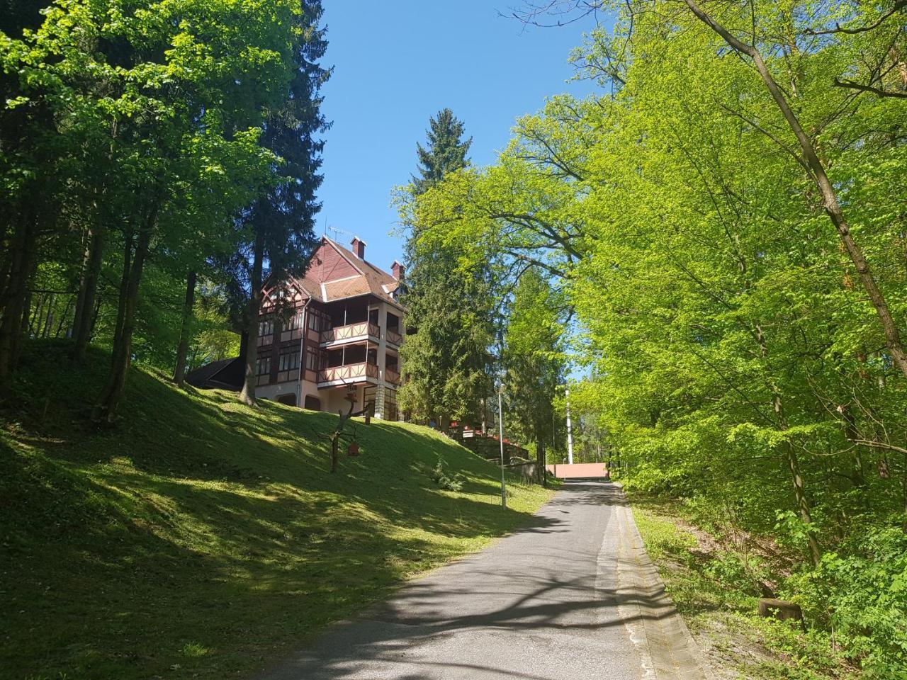 Ezuestfenyo Hotel Telkibánya Dış mekan fotoğraf